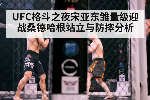 MMA fighters octagon cage fight